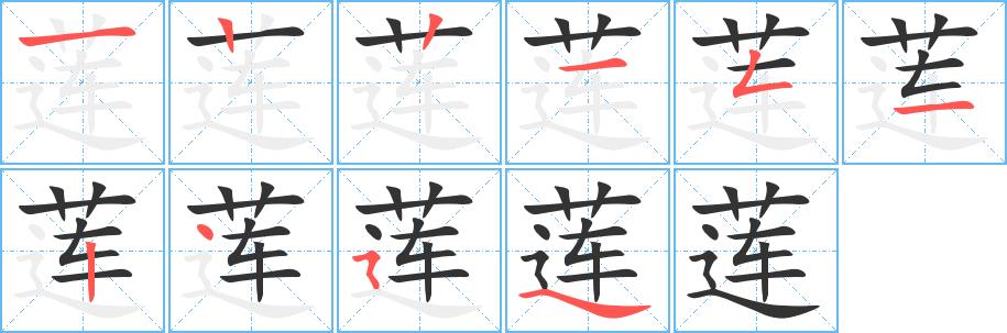 莲的笔画意思解释发音部首组词是什么