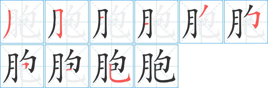 胞的笔画意思解释发音部首组词是什么