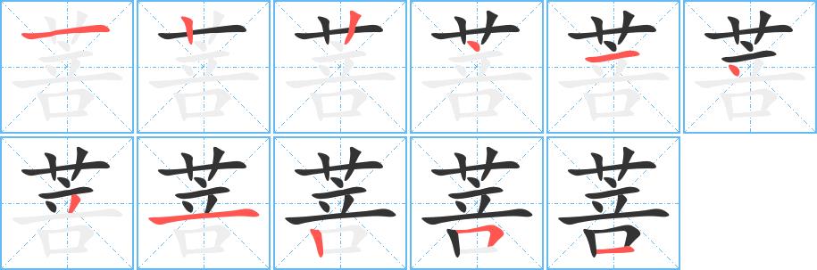 菩的笔画意思解释发音部首组词是什么