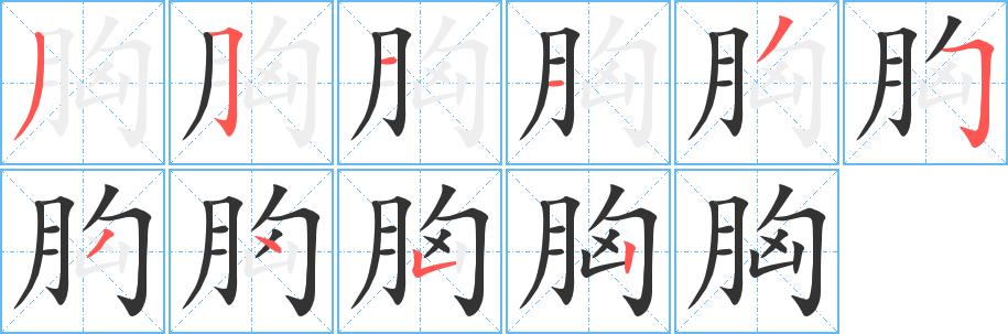 胸的笔画意思解释发音部首组词是什么