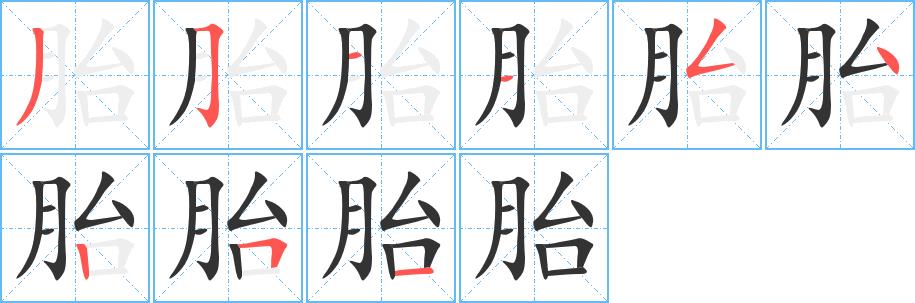 胎的笔画意思解释发音部首组词是什么