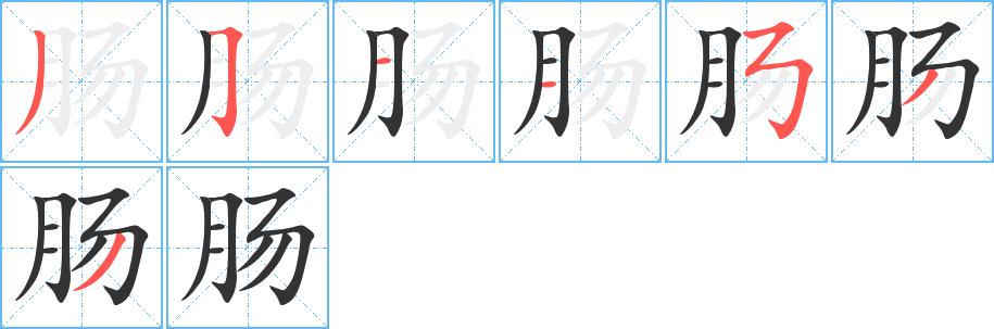 肠的笔画意思解释发音部首组词是什么