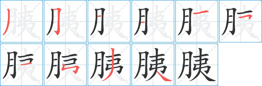 胰的笔画意思解释发音部首组词是什么