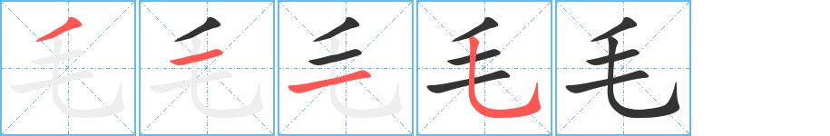 毛的笔画意思解释发音部首组词是什么