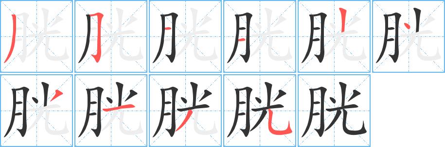 胱的笔画意思解释发音部首组词是什么