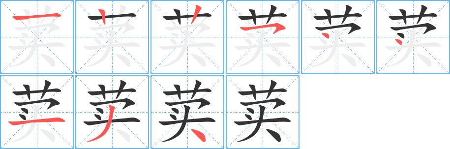 荬的笔画意思解释发音部首组词是什么