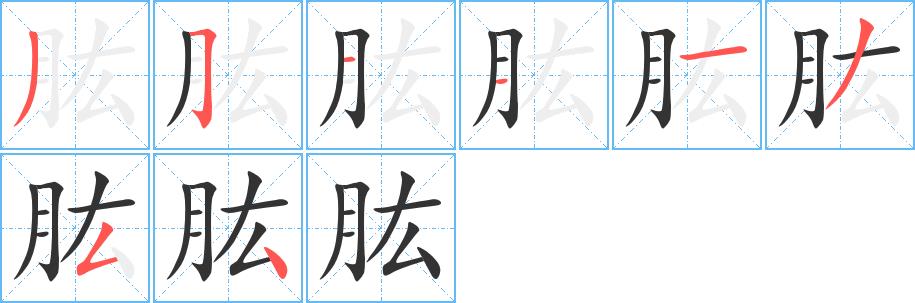 肱的笔画意思解释发音部首组词是什么