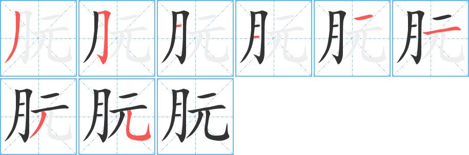 朊的笔画意思解释发音部首组词是什么