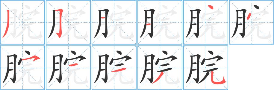 脘的笔画意思解释发音部首组词是什么