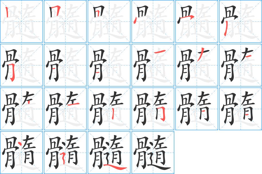 髓的笔画意思解释发音部首组词是什么