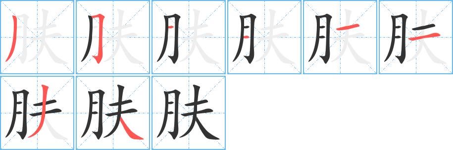 肤的笔画意思解释发音部首组词是什么