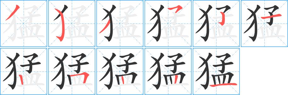 猛的笔画意思解释发音部首组词是什么