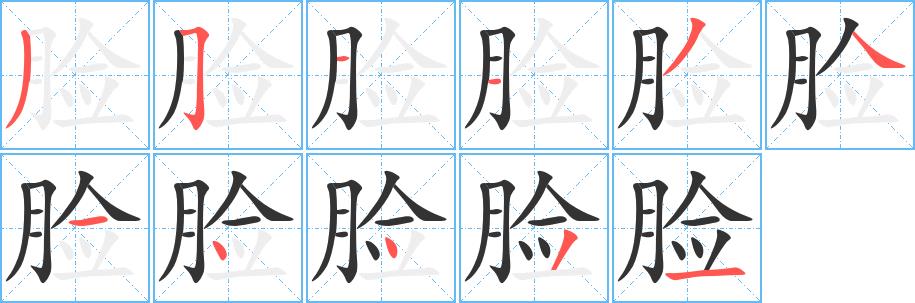 脸的笔画意思解释发音部首组词是什么