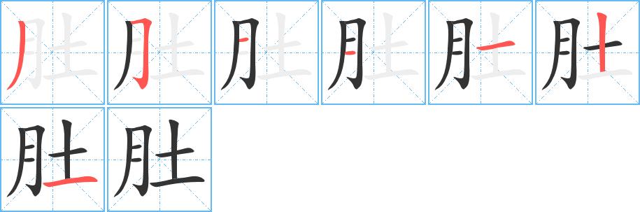 肚的笔画意思解释发音部首组词是什么