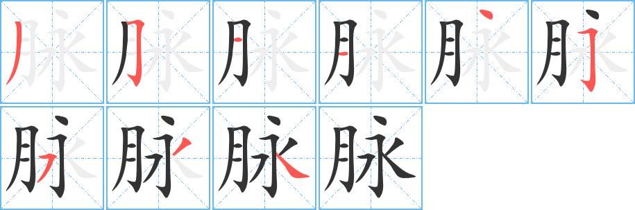 脉的笔画意思解释发音部首组词是什么