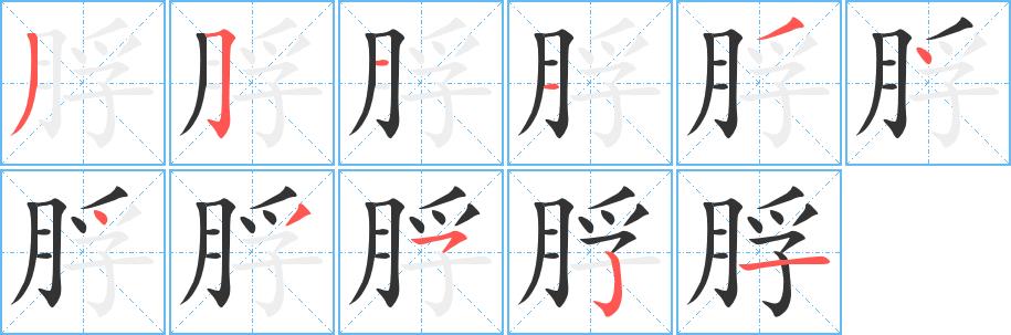 脬的笔画意思解释发音部首组词是什么