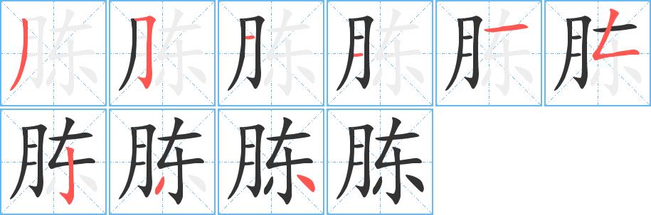 胨的笔画意思解释发音部首组词是什么