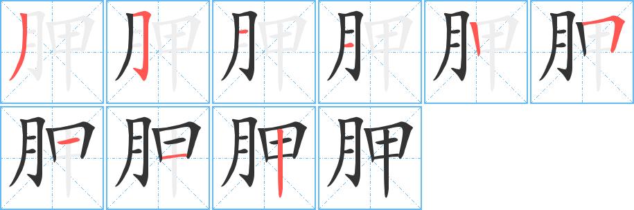 胛的笔画意思解释发音部首组词是什么