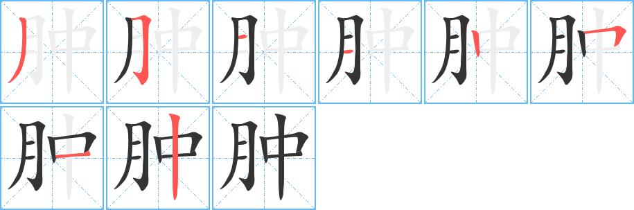 肿的笔画意思解释发音部首组词是什么