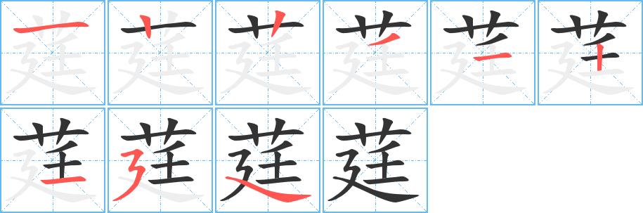 莛的笔画意思解释发音部首组词是什么