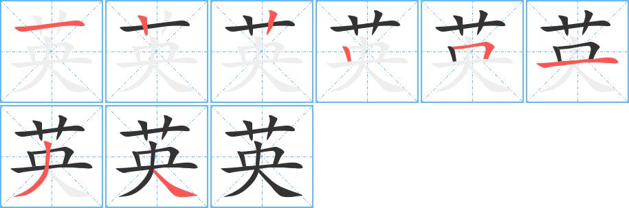英的笔画意思解释发音部首组词是什么