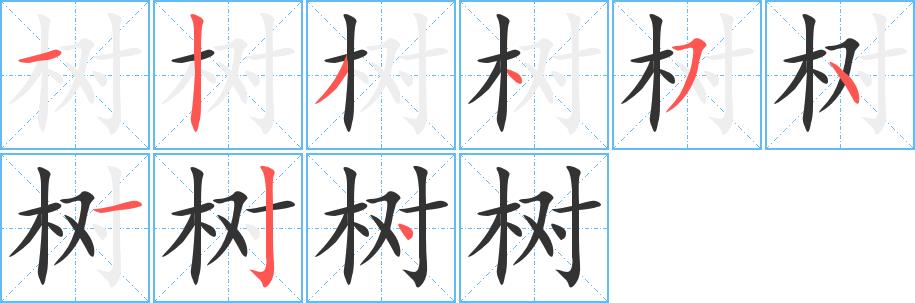 树的笔画意思解释发音部首组词是什么