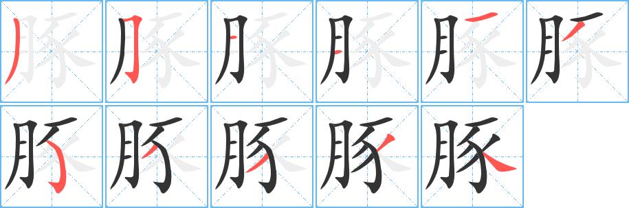 豚的笔画意思解释发音部首组词是什么